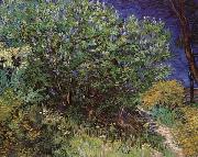 Vincent Van Gogh Bushes Germany oil painting artist